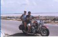 91.Harley14.jpg