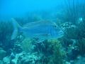 DSC01195.JPG