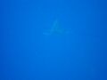 DSC01202.JPG