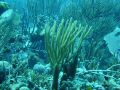 DSC01206.JPG