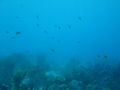 DSC01210.JPG