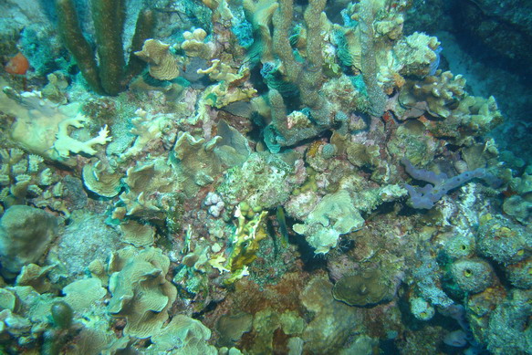 DSC02102.JPG