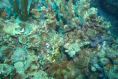 DSC02102.JPG