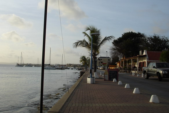 DSC06303.JPG