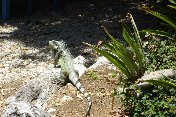 DSC06318.JPG