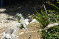 DSC06318.JPG