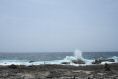 DSC06336.JPG
