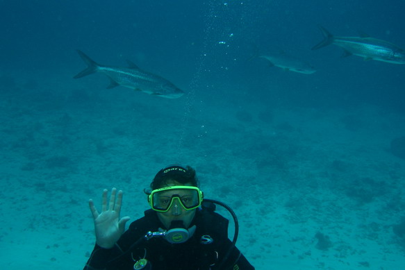 Tarpon3.JPG
